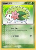 shamin EX 1