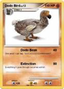 Dodo Bird Dodo Bird