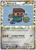 Steve Lvl X