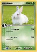 white bunny