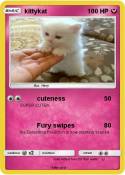kittykat