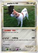 pasha lv.100