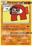 THE SUSSY KAT