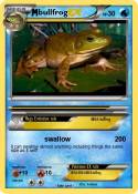 bullfrog