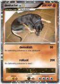 destuctor