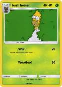 bush homer