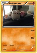 Pusheen team