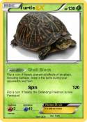 Turtle