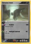 heracles hond
