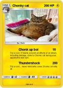 Chonky cat