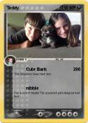 Teddy