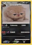 Fluffy Kitty
