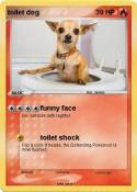 toilet dog