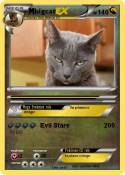 bigcat