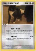 PABLO BEST CAT