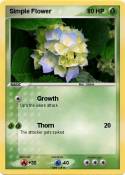 Simple Flower