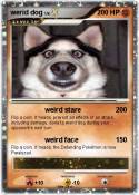 werid dog