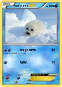harp seal