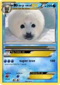 harp seal
