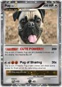 Pug