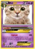 Kat