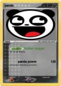 panda