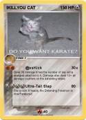 IKILLYOU CAT