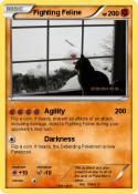 Fighting Feline