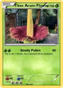 Titan Arum