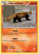 cute red panda