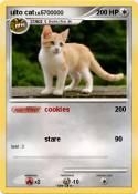 ulto cat