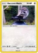 Raccoon Mario