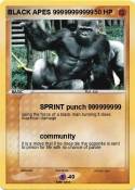 BLACK APES