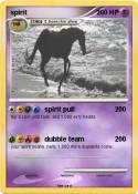 spirit