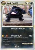 Black Pug EX