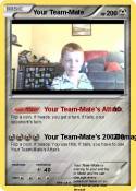 Your Team-Mate