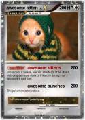 awesome kitten