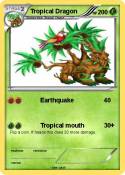 Tropical Dragon