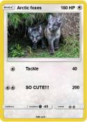 Arctic foxes