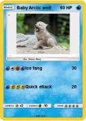 Baby Arctic