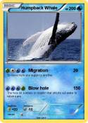 Humpback Whale