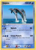 Dolphin