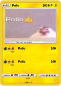 Pollo
