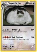 Super Fat Cat