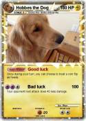Hobbes the Dog
