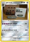 pet rock