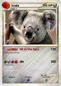 koala