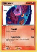 CELL WALL