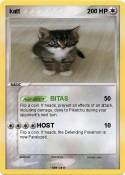 katt