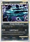 Golgi
